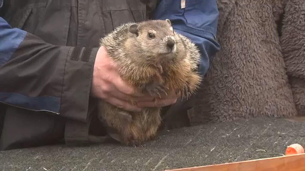 Groundhog Day 2025